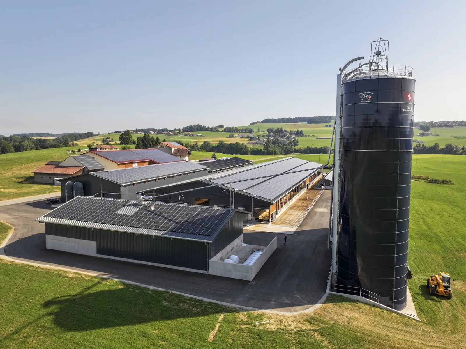 Troupeau dans les allées de la stabulation