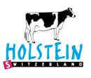 Holstein Switzerland