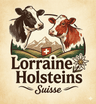 Lorraine Holsteins